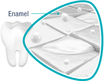 Illustration of the Protective Tooth Enamel Illustration of the Protective Tooth Enamel