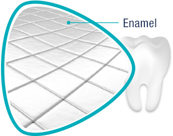 Illustration of Tooth Enamel Illustration of Tooth Enamel