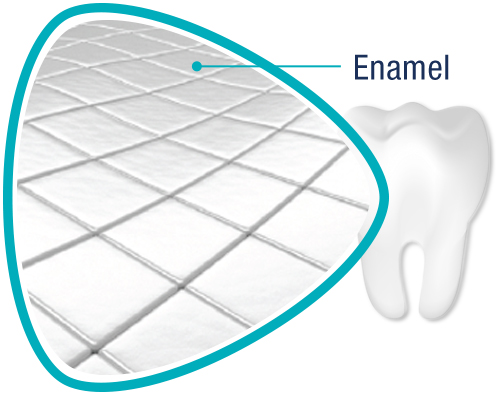 Illustration of Tooth Enamel Illustration of Tooth Enamel