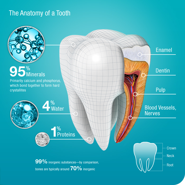 What is Tooth Enamel Pronamel® Toothpaste